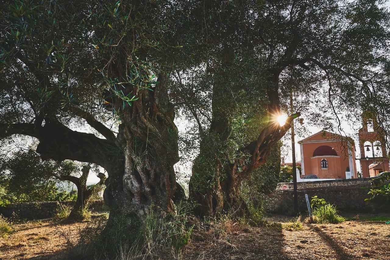 Апартаменты The Guund House Xanthatai Экстерьер фото