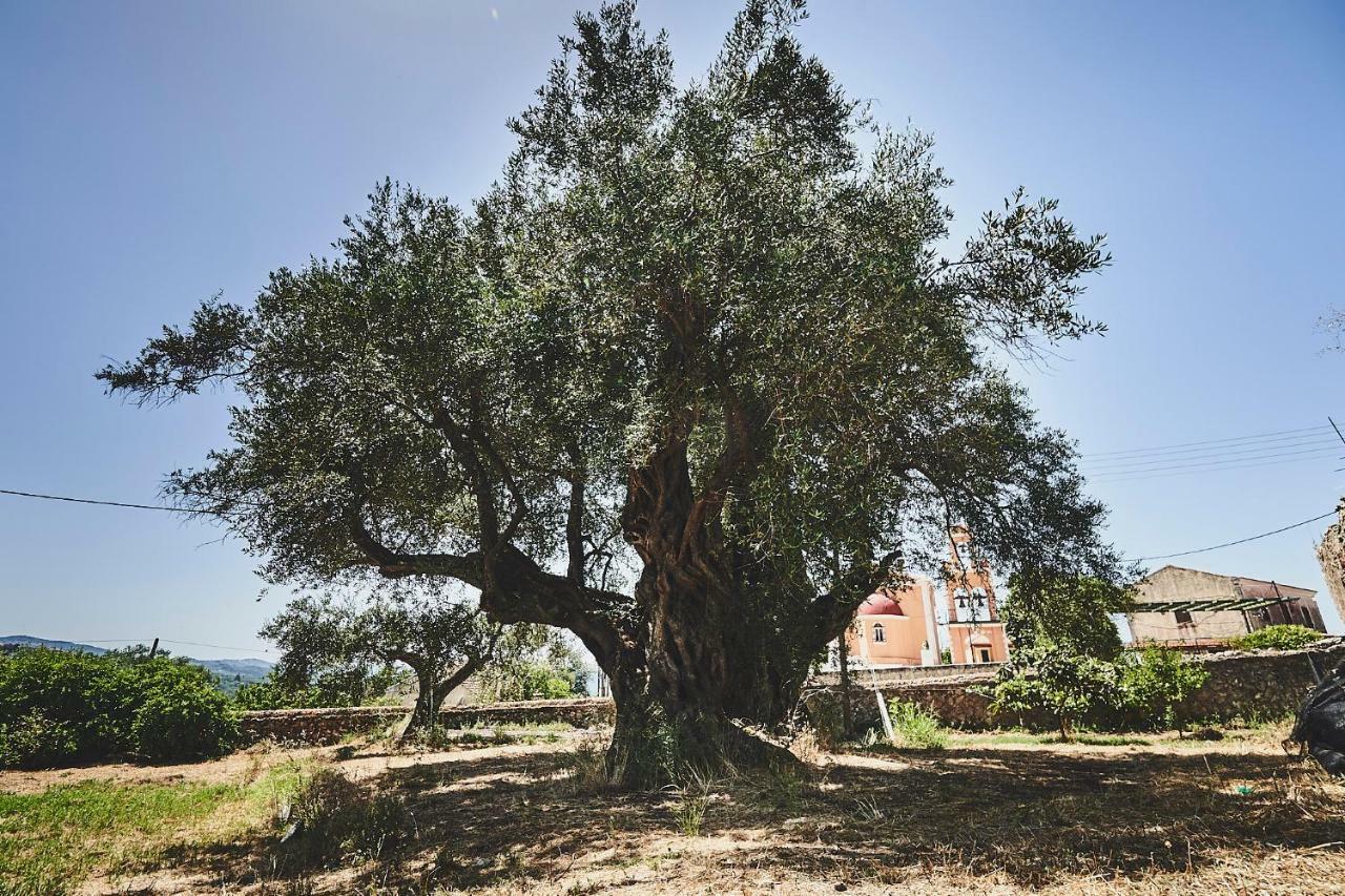 Апартаменты The Guund House Xanthatai Экстерьер фото